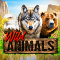 Wild Animals